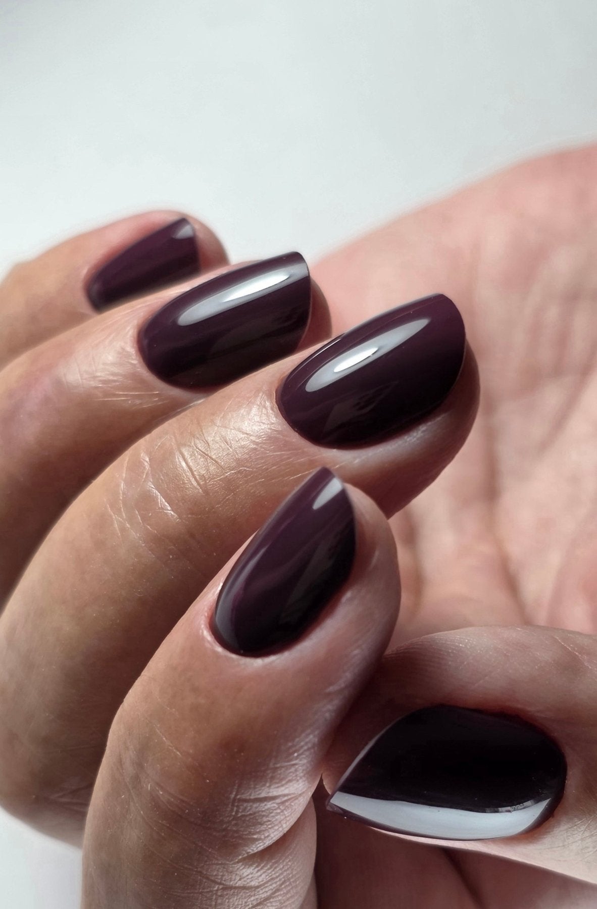 Gel Polish Cake - VSP NAILS FRS