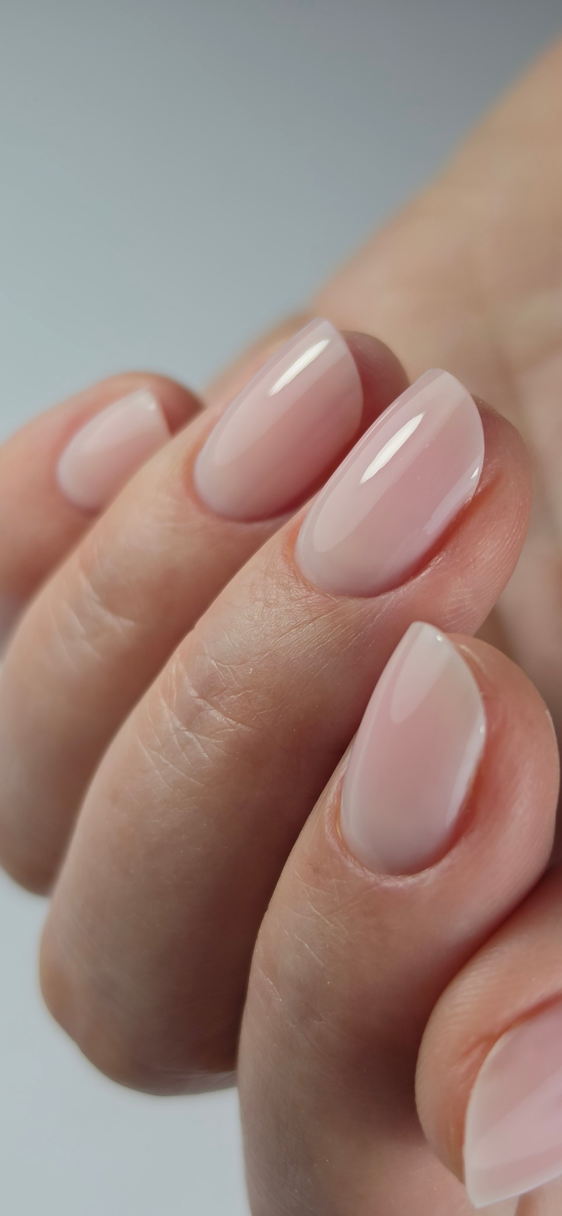 Easy gel Bloom en pot