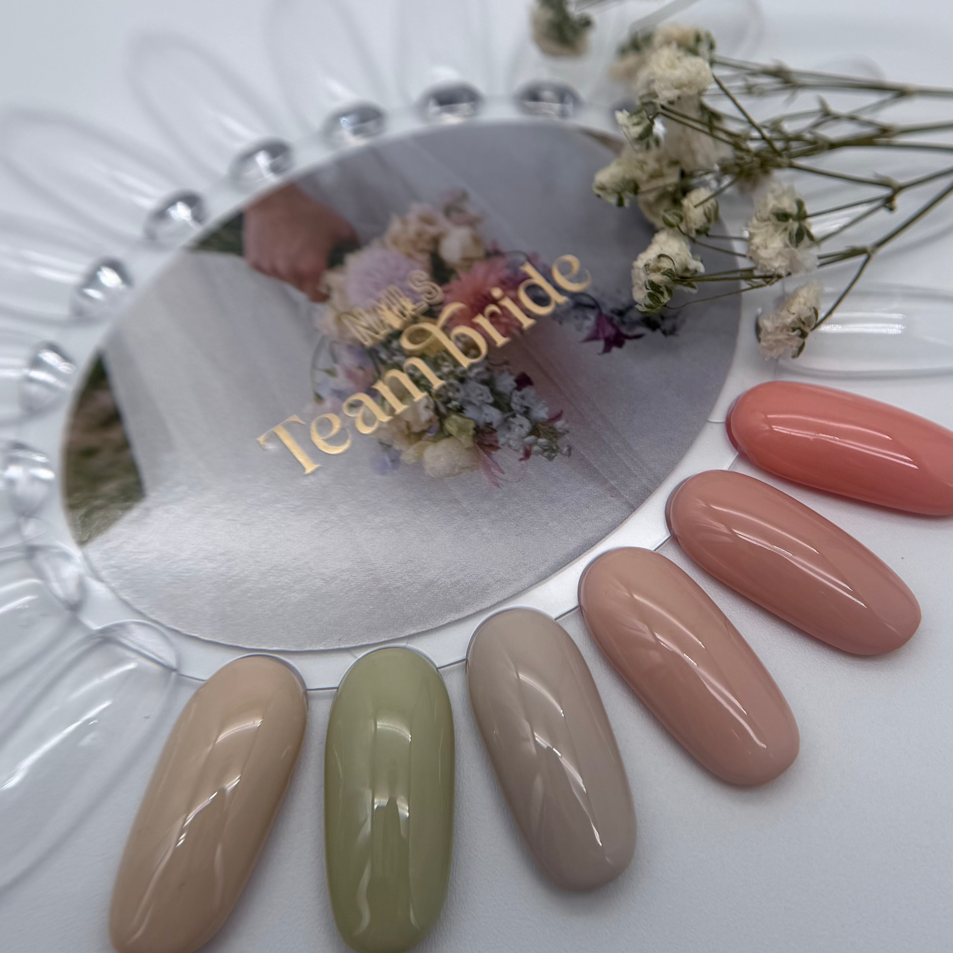 Nuancier rond Team bride