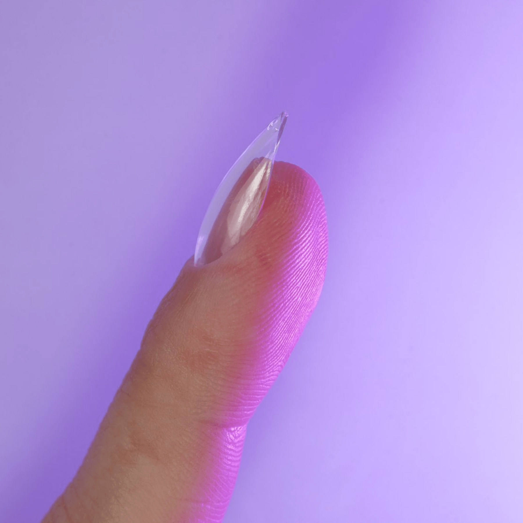 Profil d'une capsule américaine amande courte montrant la courbure C-curve