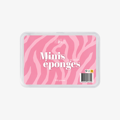 Boite minis éponges à dégradé