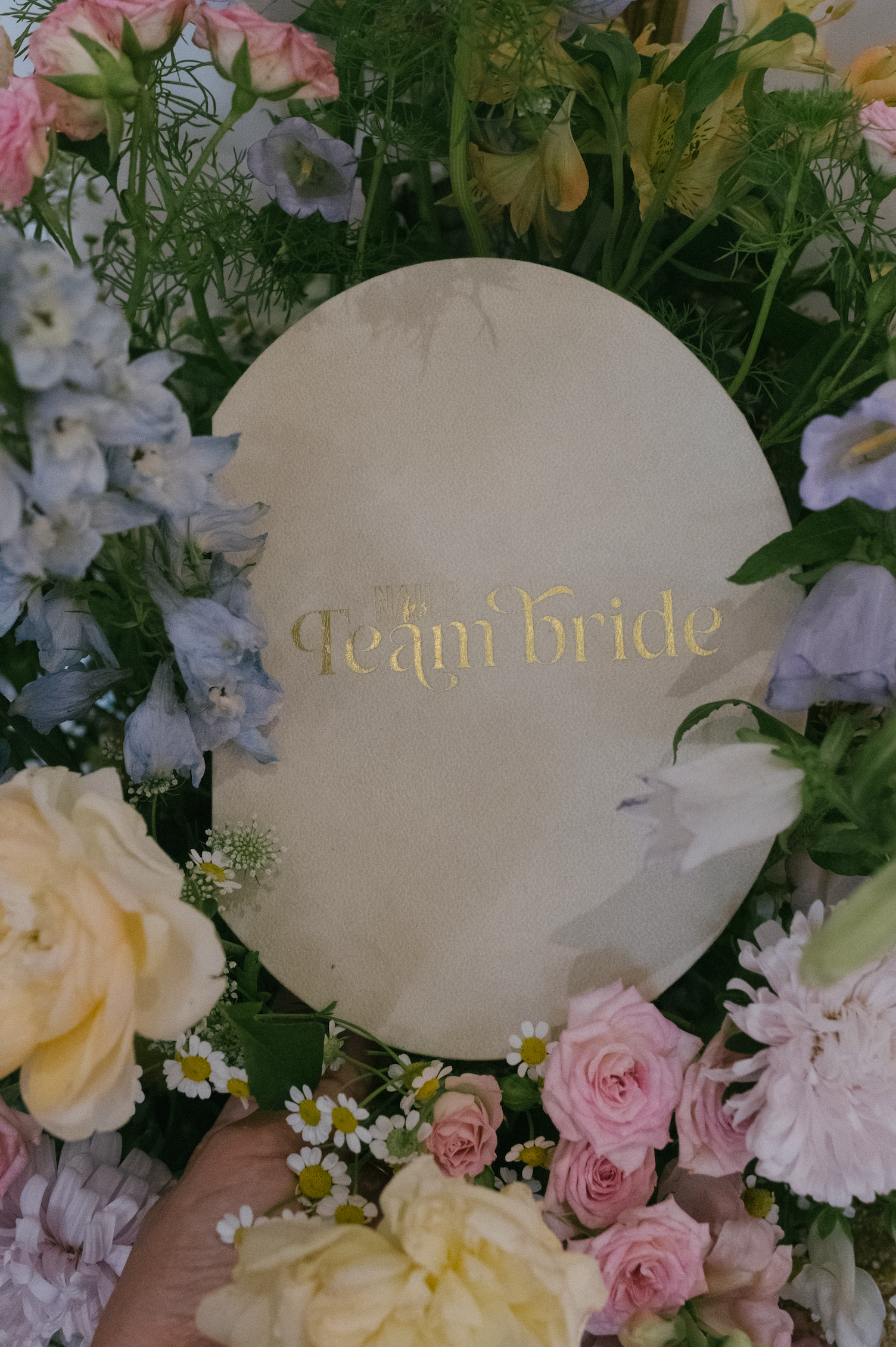 Collection Team bride