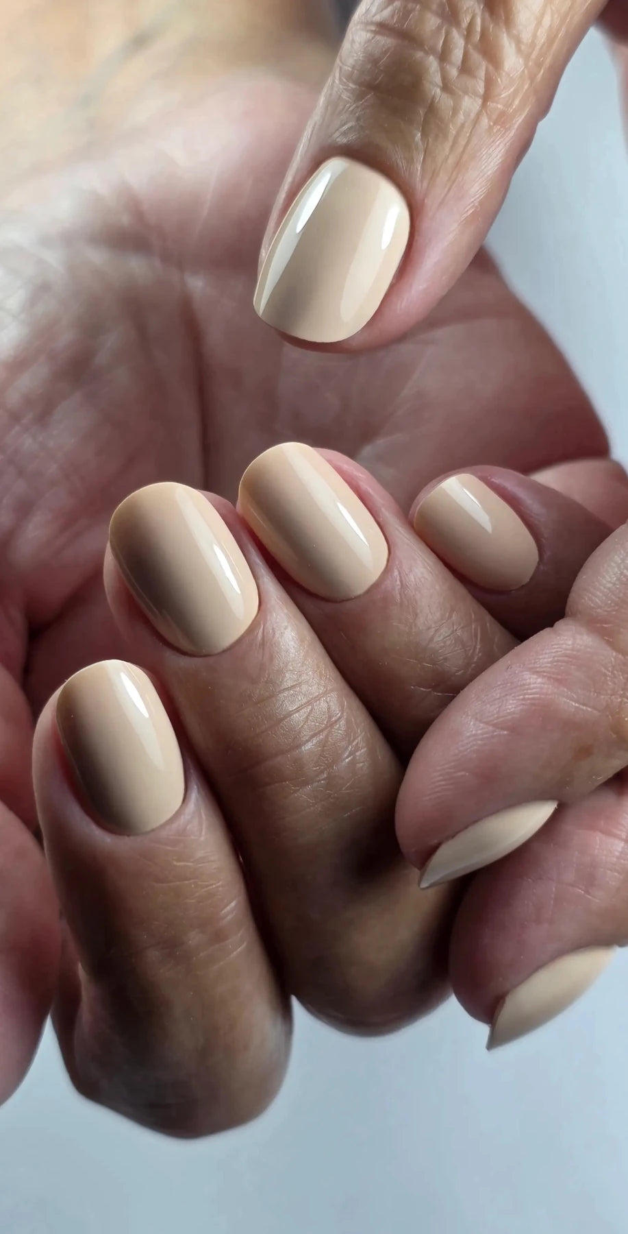 Gel polish Ceremony - NAILS FRS