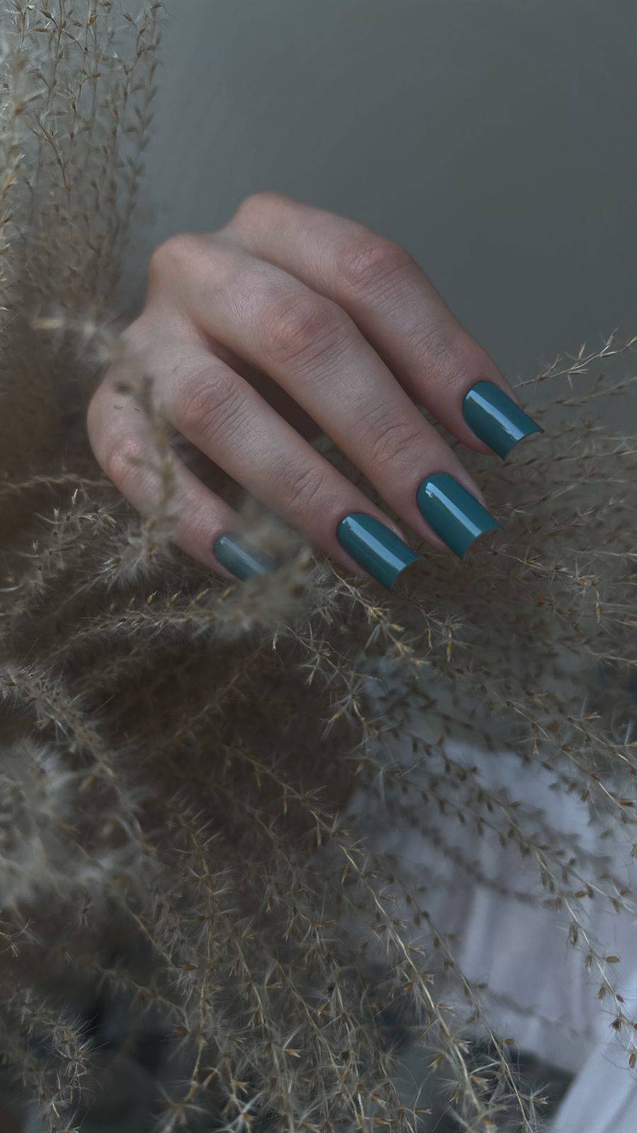Gel Polish Nature - Nails frs