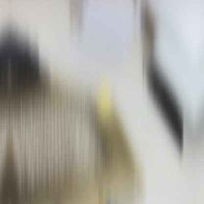 Support organisateur capsules